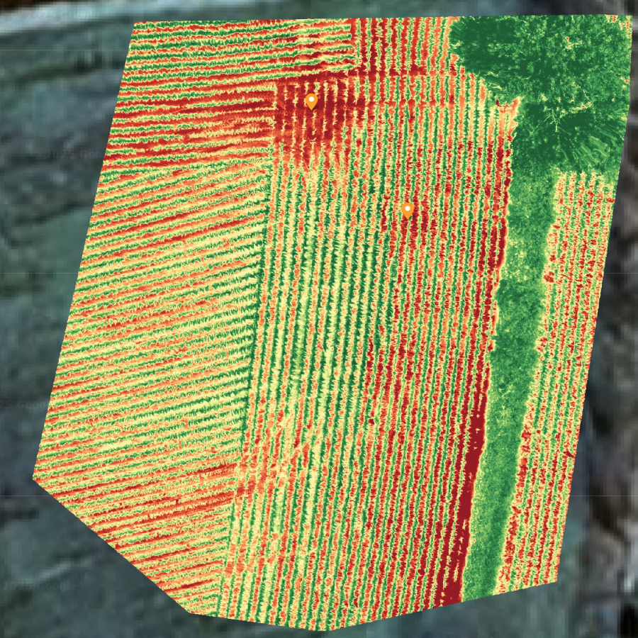 Plant Health Map from an Agriculture Drone Survey