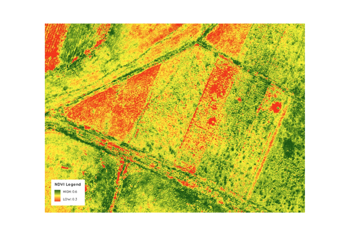 Screenshot 2025-11-06 at 22.32.14